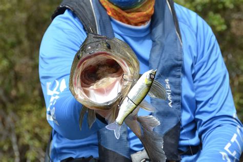 Anglers all - <div class="shopping-layout-no-javascript-msg"> <strong>Javascript is disabled on your browser.</strong><br> To view this site, you must enable JavaScript or upgrade ...